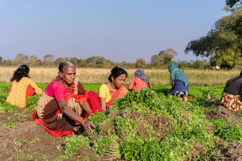 अहिराणी कथा