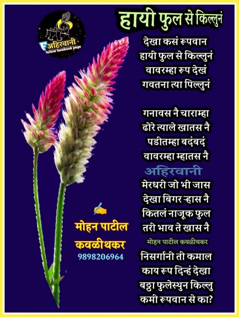 कलेजान्हा तुकडा Ahirani language 3 ahirani language sentences