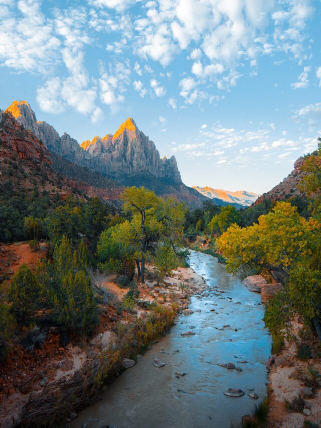 Nature
