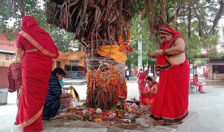 वट सावित्री पूर्णिमा